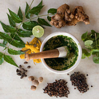 ayurveda ayurveda