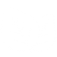 leaf (1) leaf (1)